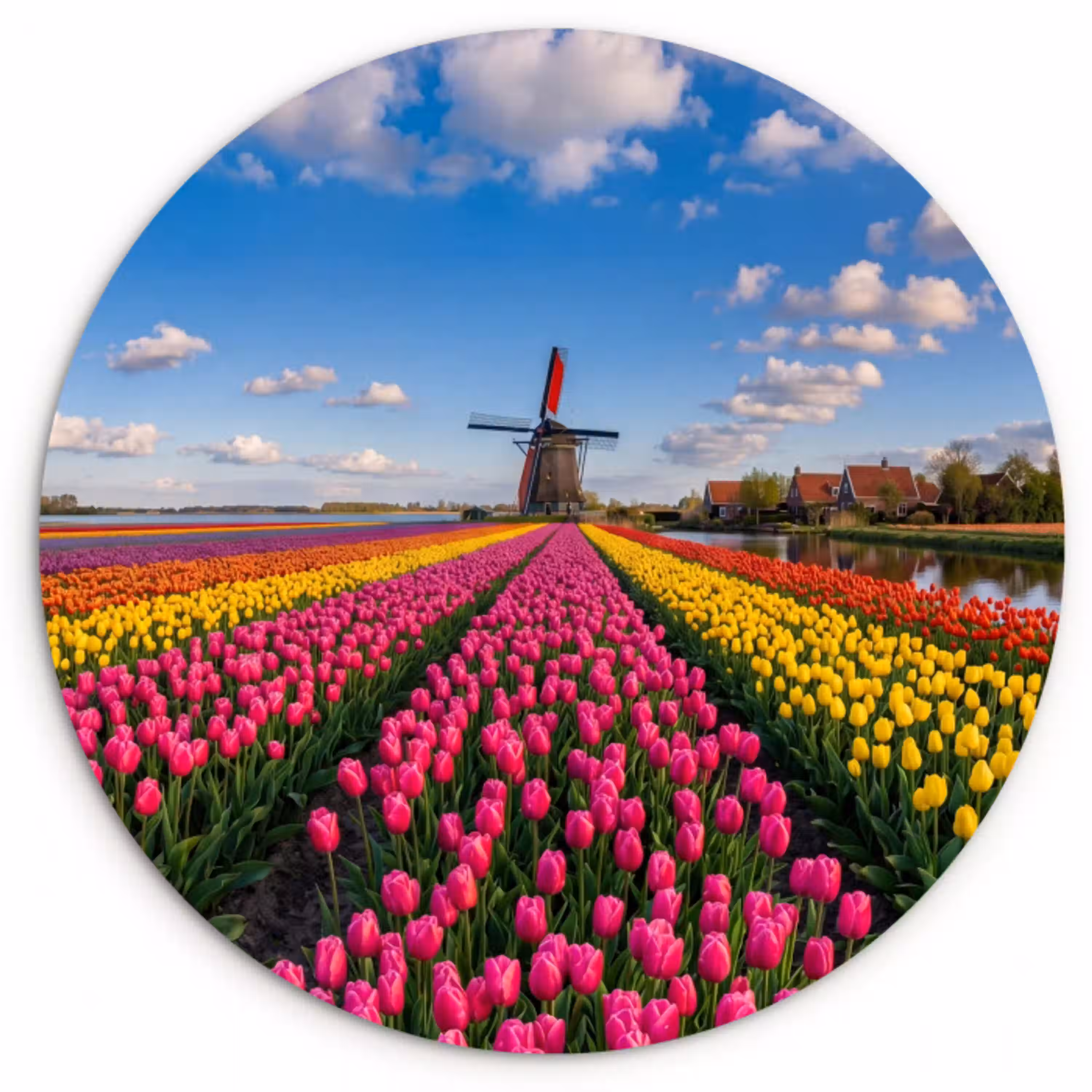 Tulpen - Holland - Molen - Kleurrijk Wandcirkel kunststof plaat 5mm dik klein -3d