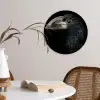 Vogel - Portret - Neushoornvogel - Zwart - Dieren Wandcirkel kunststof plaat 5mm dik klein -sfeer4