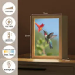 Kolibrie - Bloem - Natuur - Groen Light Box met kabel (Kinderlampje) klein -USP_FR