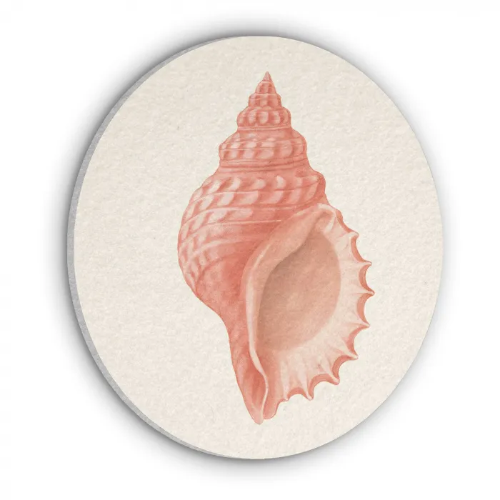 Schelp - Roze - Structuur Akoestische PET Vilt - Rond klein -3d