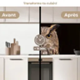 Oehoe - Uil - Portret - Bruin keuken achterwand 2 middel -voor-na2_FR