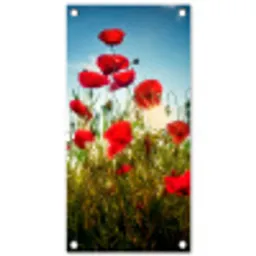 Rode klaprozen tegen de hemel tuinposter los doek klein -3d