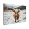 Schotse Hooglander - Landschap - Sneeuw - Bergen - Winter canvas 2cm klein -z3d