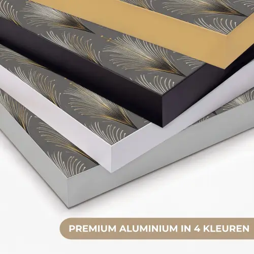 Waaierstralen - Goud - Antraciet Textielframe zwart klein 947 -USP_kleurenNL