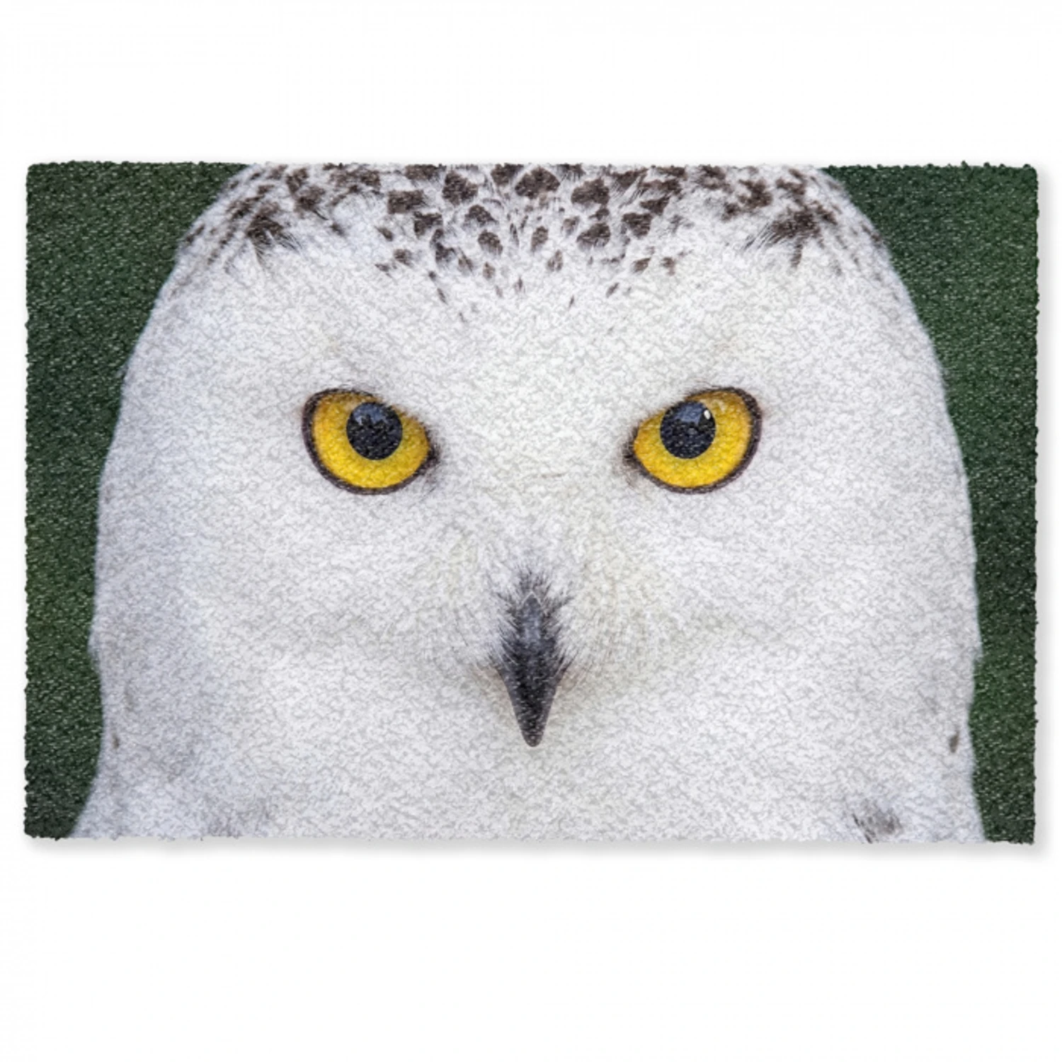 Sneeuwuil - Portret - Geel Deurmat klein -zkaufland3d