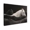 Paarden - Zwart - Wit - Kudde Tuinposter op houten frame 2 cm dik klein -3d