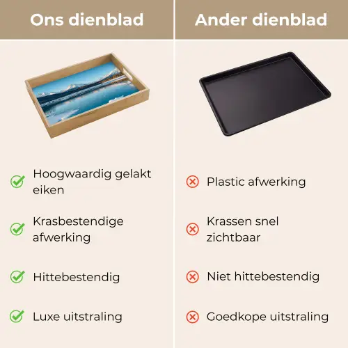 Landschap - Winter - Meer - Bergen - Uitzicht - IJs Dienblad Rechthoek middel -USP_VergelijkingNL