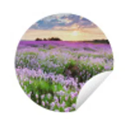Lavendel - Bloemen - Zonsondergang - Paars - Weide Wandcirkel tuinposter met ringen klein -3d