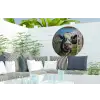 Doorkijk - Koe - Weiland - Dieren - Natuur Wandcirkel tuinposter met ringen klein -buiten2