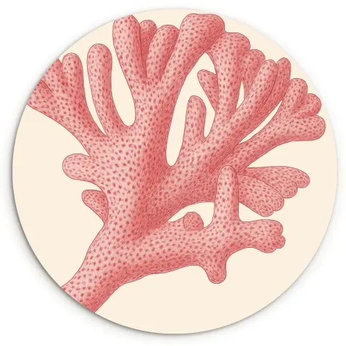 Koraal - Stipjes - Roze Wandcirkel kunststof plaat 5mm dik klein -3d