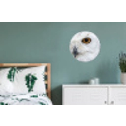 Sneeuwuil - Oog - Wildlife - Wit Wandcirkel aluminium klein -slaapkamer