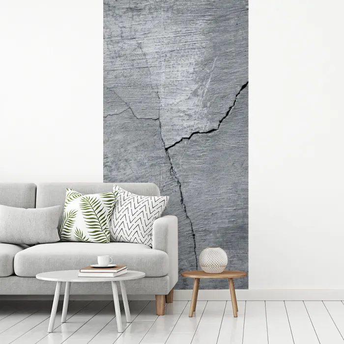 Beton - Grijs - Scheur fotobehang vinyl groot -woonkamer