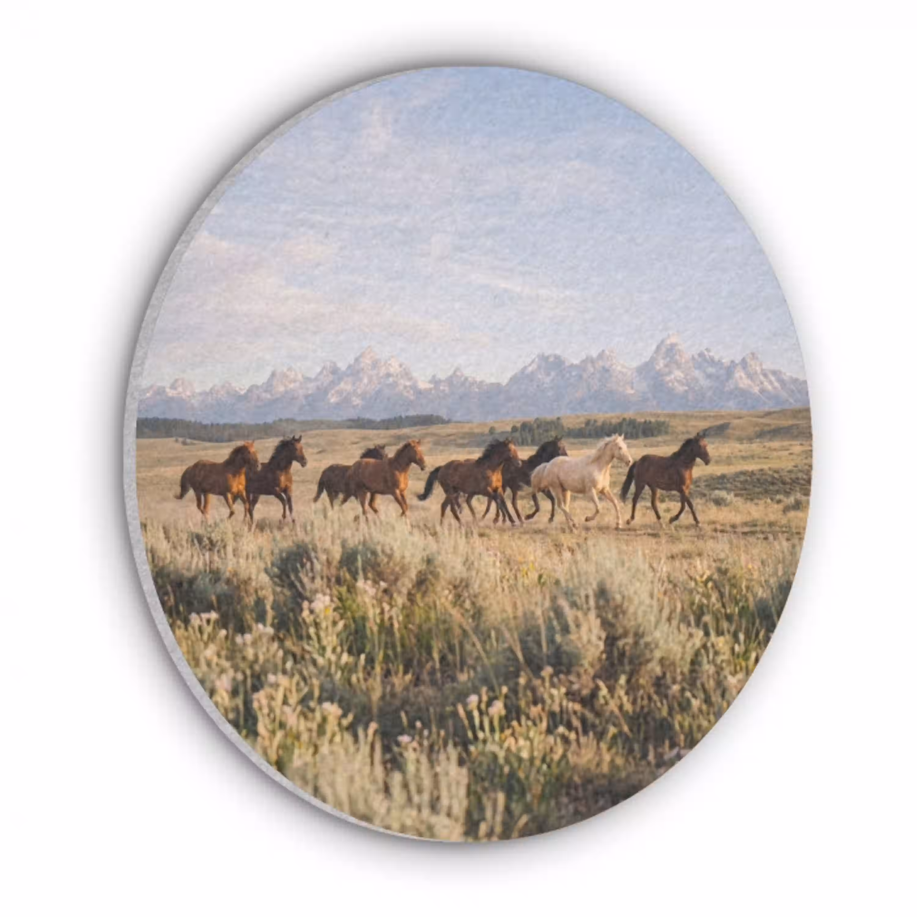 Paarden - Kudde - Bergen - Vrijheid - Wild Akoestische PET Vilt - Rond klein -3d