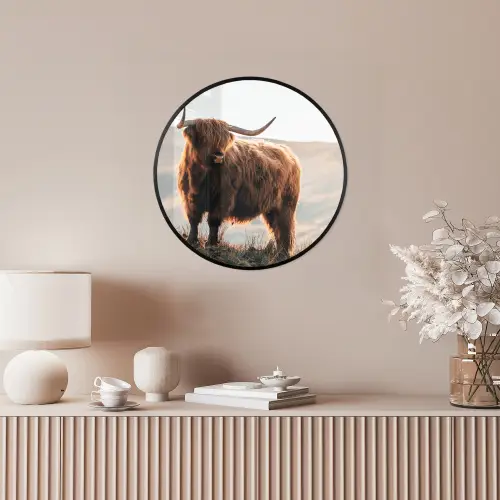 Schotse hooglander - Dieren - Landelijk - Landschap - Koe - Natuur Fotolijst rond zonder passe partout klein -sfeer3