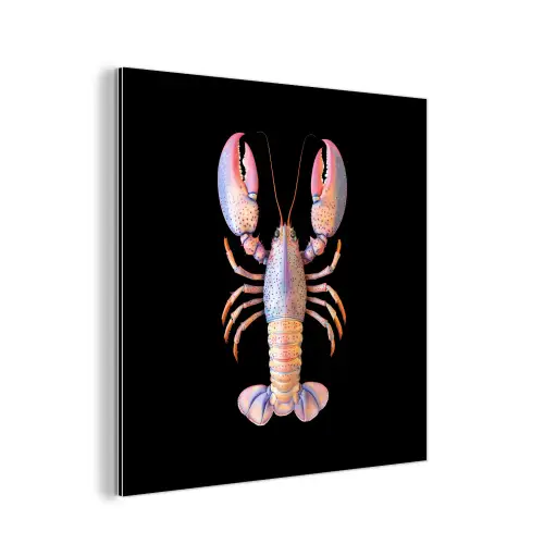 Kreeft - Roze - Zacht - Zwart aluminium wit klein -3d