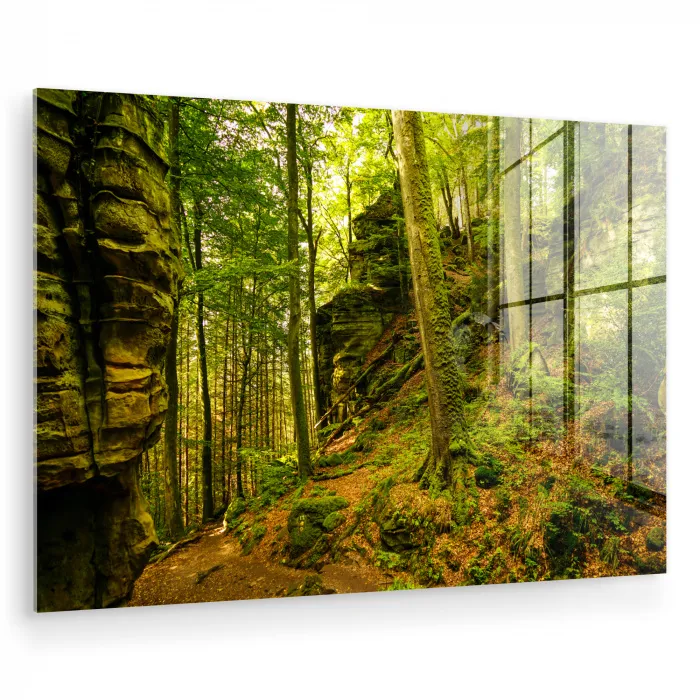 Bomen - Steen - Bos - Natuur - Planten plexiglas 5mm klein -zzzproduct_nieuw