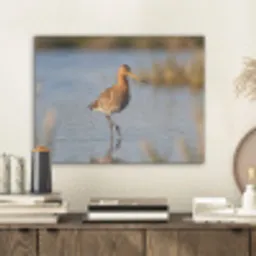 Vogel - Steltloper - Water - Natuur PET vilt klein -sfeer1