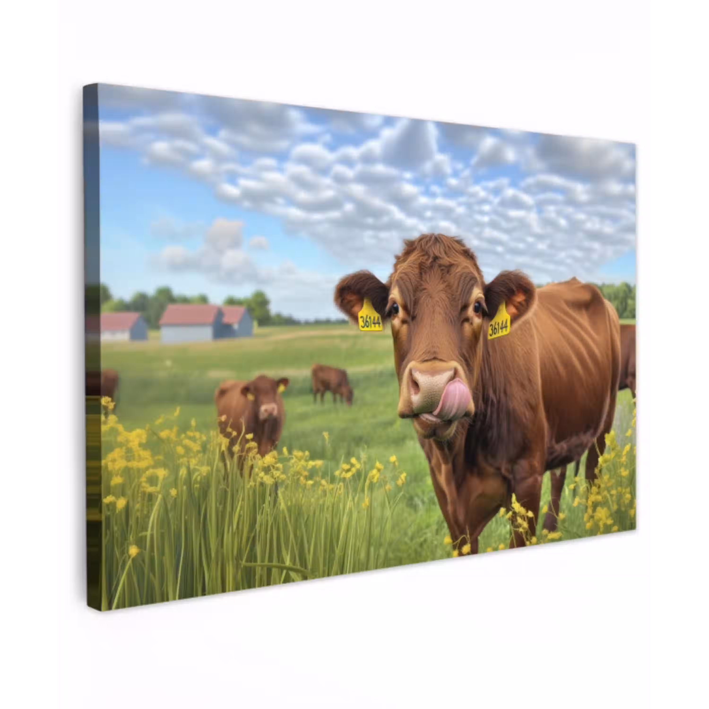 Koe - Weide - Bloemen canvas 2cm klein -z3d