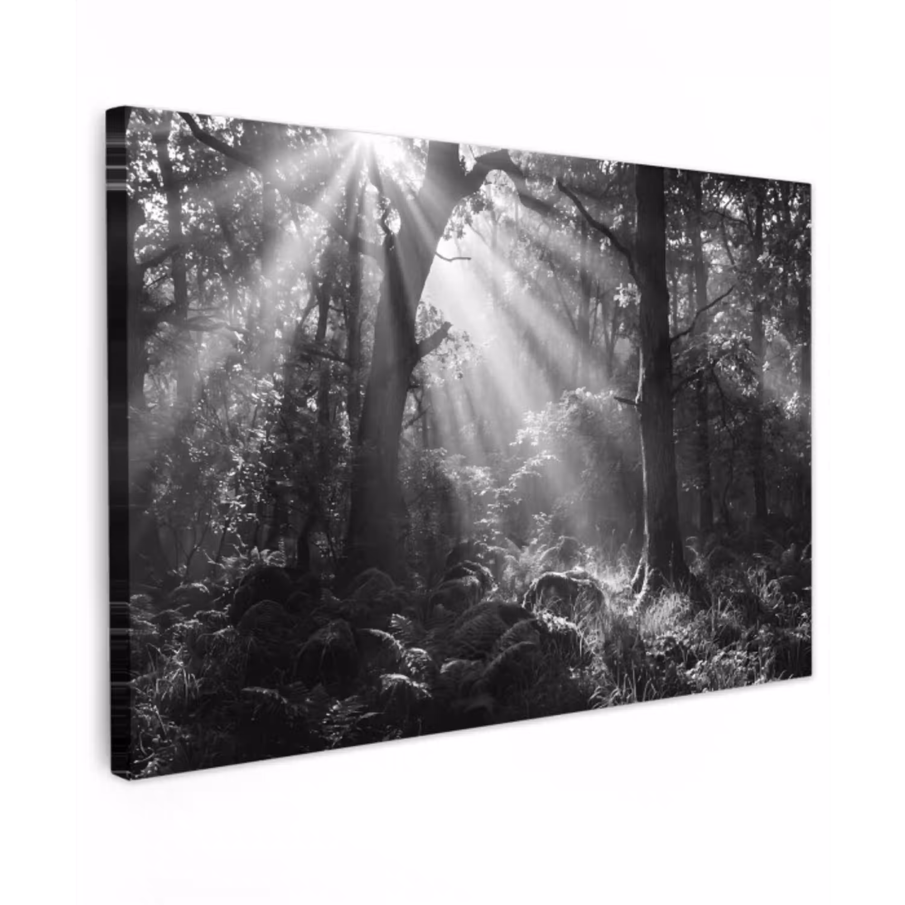 Bos - Lichtstralen - Natuur - Zwart-wit Tuinposter op houten frame 2 cm dik klein -3d