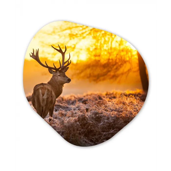 Hert - Dieren - Zonsondergang - Winter - Heide - Natuur Wandcirkel Organisch Forex 3mm klein -3d