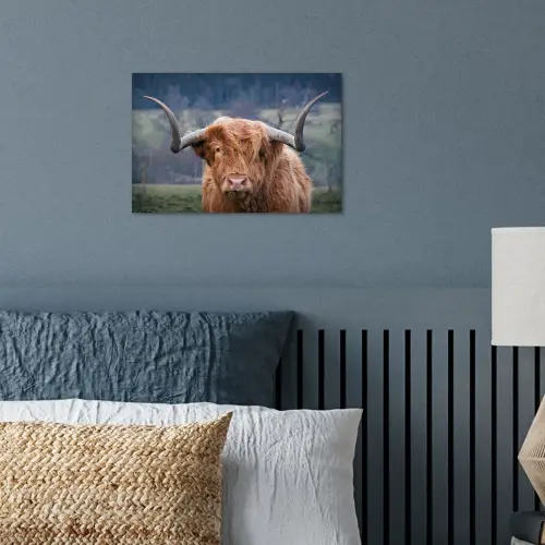 Schotse Hooglander - Koeienkop - Landschap - Natuur - Koe poster papier klein -sfeer2