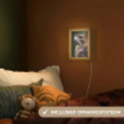 Buizerd - Roofvogel - Natuur - Bruin Light Box met kabel (Kinderlampje) klein -sfeer5_kind