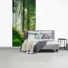 Natuur - Bomen - Bos - Groen - Zon fotobehang vinyl groot -slaapkamer