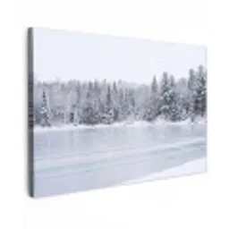 Meer - Dennen - IJs - Winter - Rustgevend canvas 2cm klein -z3d