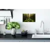 Bomen - Bos - Mos - Planten - Zon Muursticker klein -keuken