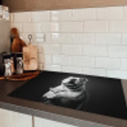 Buldog - Hond - Glas Inductie beschermer vinyl 3mm klein -sfeer3
