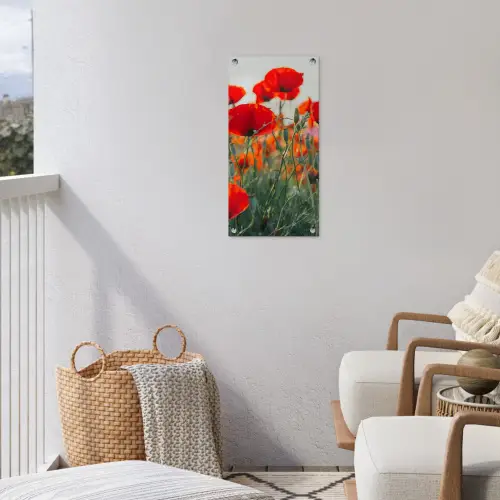 Klaprozen in close-up bij zonsondergang tuinposter los doek klein -sfeer8