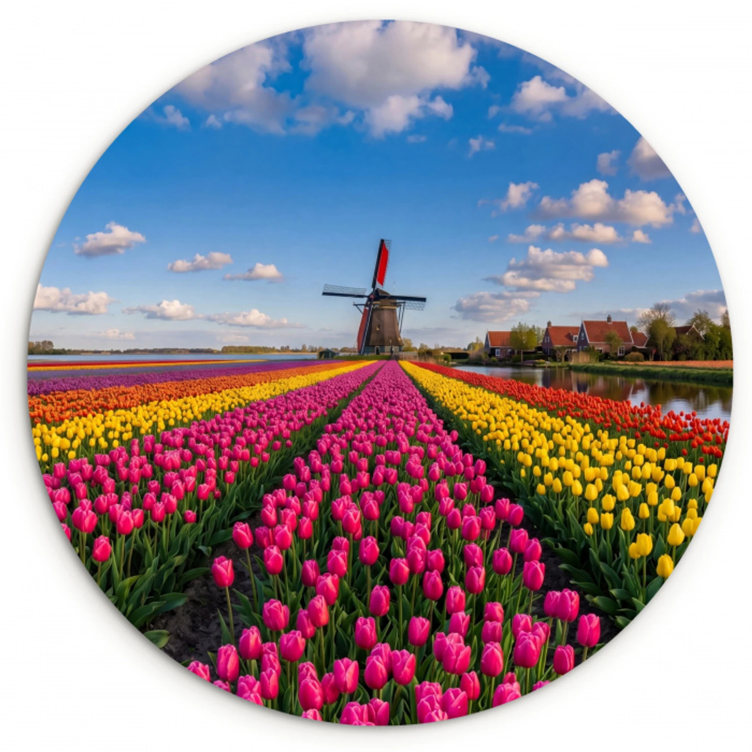 Tulpen - Holland - Molen - Kleurrijk Wandcirkel kunststof plaat 5mm dik klein -3d