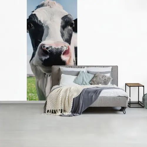Koe - Weiland - Natuur - Dieren - Gras fotobehang vinyl groot -slaapkamer