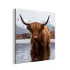 Schotse hooglander - Bruin - Water aluminium wit klein -3d