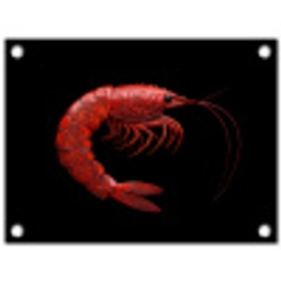 Garnaal - Rood - Dieren tuinposter los doek klein -3d
