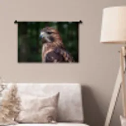 Buizerd - Roofvogel - Natuur - Bruin Wandkleed katoen klein -sfeer4
