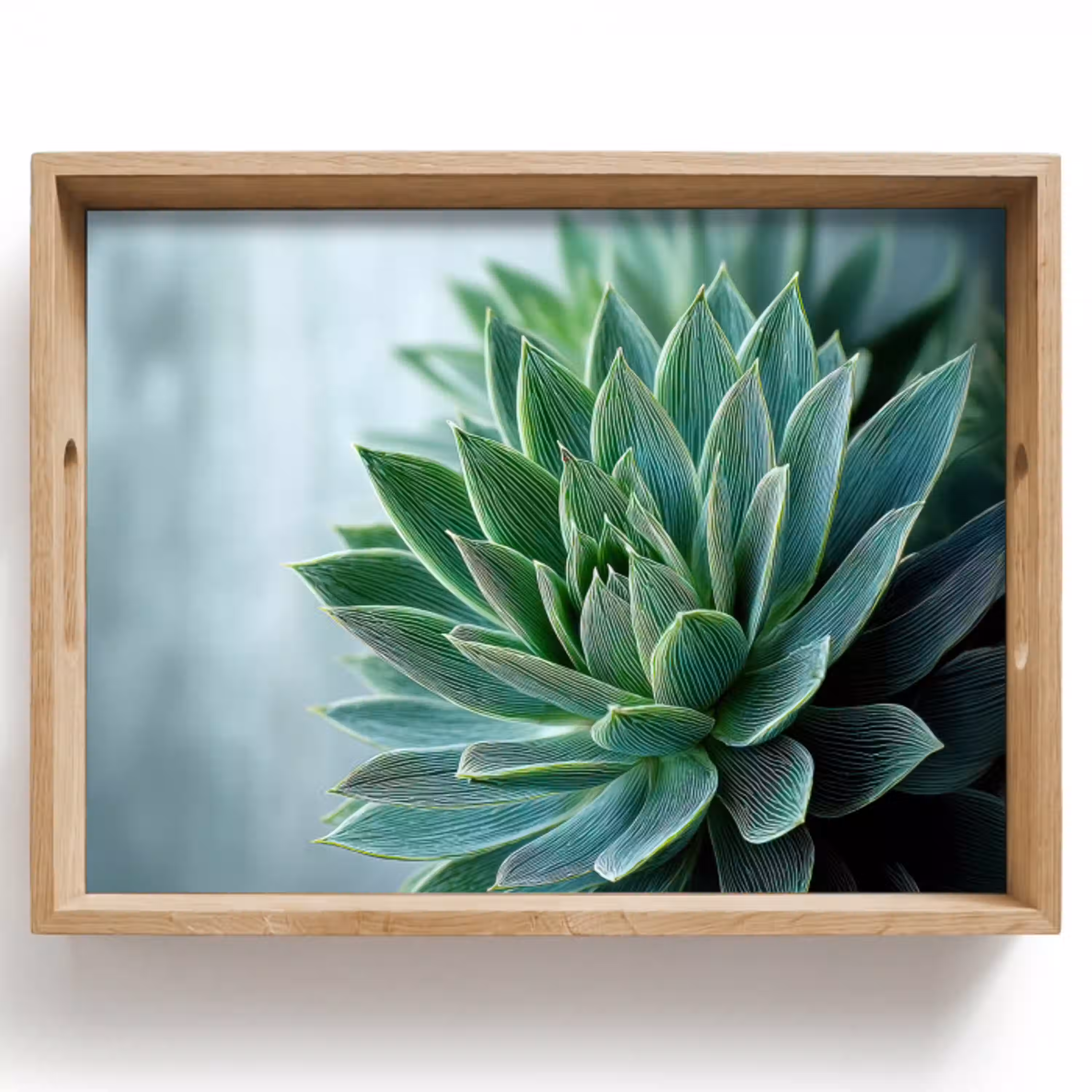 Vetplant - Bladeren - Groen - Wazig Dienblad Rechthoek middel -z3d_shopping