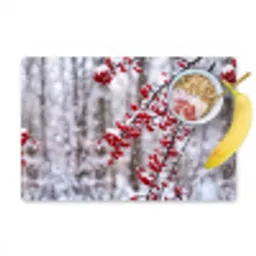 Bessen - Takken - Sneeuw - Winter - Kleurrijk Placemat vinyl groot -zzzproduct_Kitchenyeah-website
