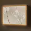 Bloemen - Wit - Planten Light Box met batterij (Wandlamp) middel -z3d_website