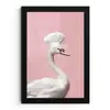 Zwaan - Koksmuts - Mooi - Klassiek fotolijst zwart zonder passe partout klein -3d