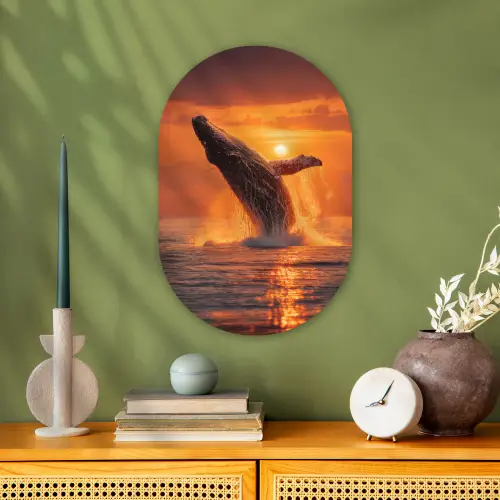 Walvis - Zon - Zee Wandcirkel Ovaal Forex klein -sfeer2