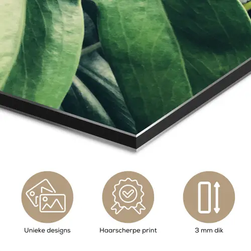 Palmblad - Tropisch - Natuur - Jungle aluminium wit klein -closeup_NL