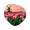 Tulpen - Molen - Nederland Wandcirkel Organisch Plexiglas middel -3d