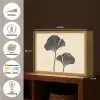 Bladeren - Minimalistisch - Zwart Light Box met batterij (Wandlamp) middel -USP_websiteoverzichtNL
