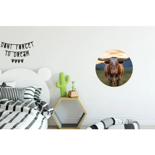 Longhorn - Landschap - Zonsondergang Wandcirkel aluminium klein -kinderkamer