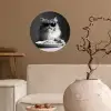 Langharige kat - Zonnebril - Spaghetti - Humor - Zwart - wit Wandcirkel behangsticker klein -sfeer1