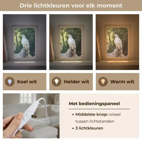 Arend - Hout - Wit - Planten Light Box met kabel (Tafellamp) klein -USP_lichtkleurNL
