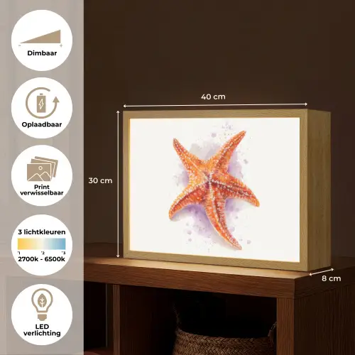 Zeester - Oranje - Paars Light Box met batterij (Wandlamp kind) middel -USP_websiteoverzichtNL