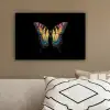 Vlinder - Kleurrijk - Speels canvas 2cm klein -sfeer3