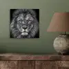 Dieren - Leeuw - Zwart - Wit - Portret aluminium wit klein -sfeer2